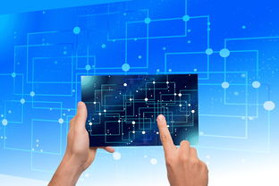 星空娱乐网址-中国篮球青训体系教练员能力评估与发展规划，篮球教练员素养